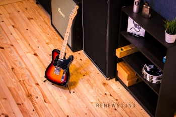 RENEWSOUND Live Room - Fender Telecaster