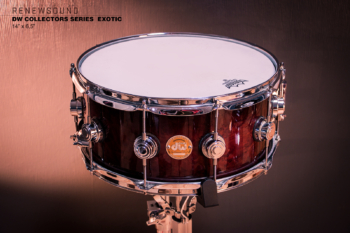 RENEWSOUND studio productions - Snares - DW COLLECTORS SERIES EXOTIC – 14” x 6,5” (maple / manufactured in USA – 2.08.2006)