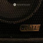 RENEWSOUND audio recording studio in Sofia, Bulgaria - Guitar amp - Crate 1x15 cabinet